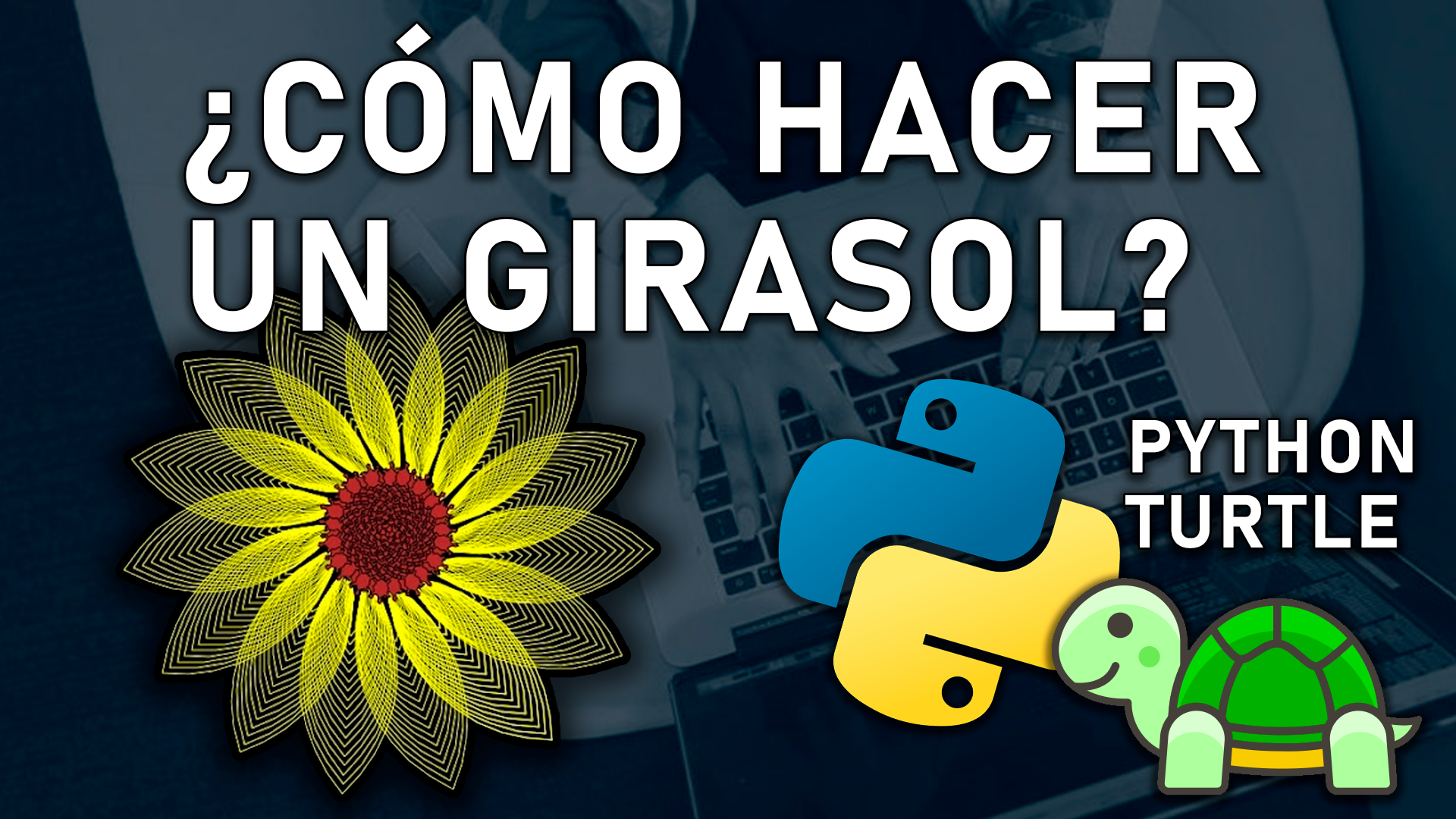 Dibuja un Girasol Amarillo con Python y Turtle